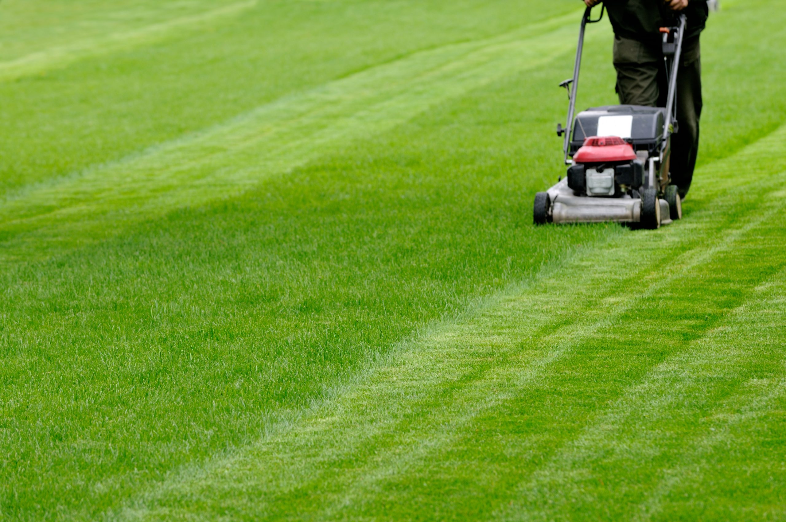 Lawn Care 