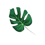 landscaping design bromley