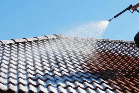 Roof Cleaning