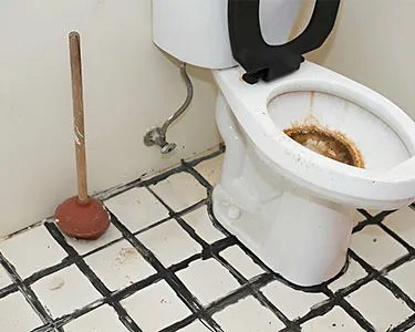 Blocked Toilets