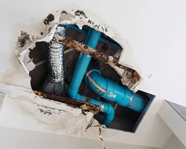Pipe Fitter