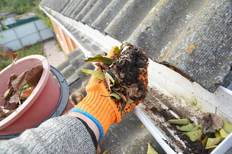 Gutter Cleaning Using Sky Vac