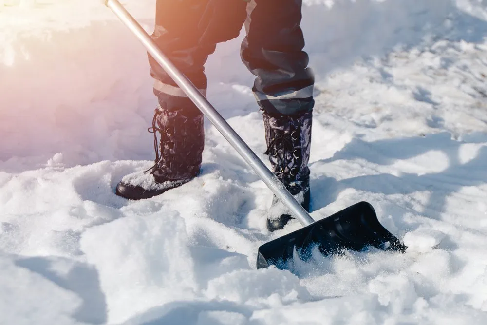 Snow Removal