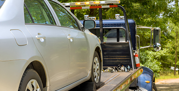 car carrier